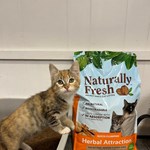 A tabby cat in a litter box, next to a bag of Naturally Fresh Herbal Attraction Litter.